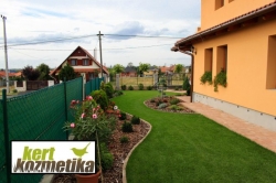 Íves örökzöld növényágyások (45)